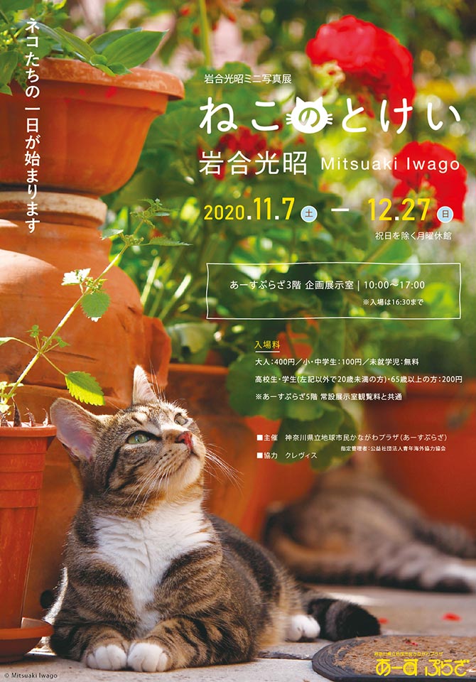 岩合光昭ミニ写真展「ねこのとけい」