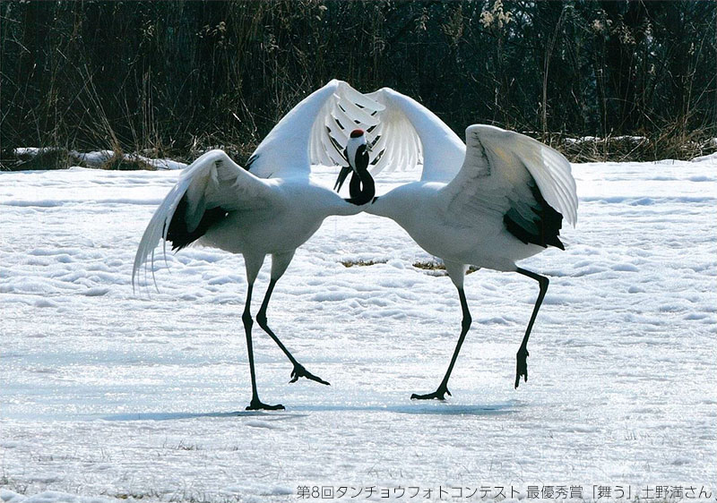 写真が切手になるかも。タンチョウの写真を募集する「u200b第8回 GRUS PHOTO CONTEST」 | CAPA CAMERA WEB