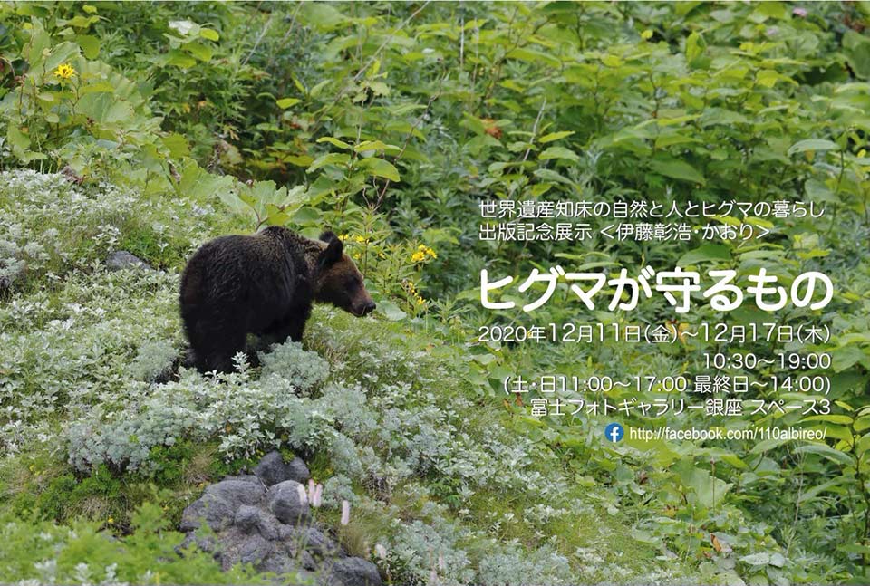 Photograph albireo写真展「ヒグマが守るもの」