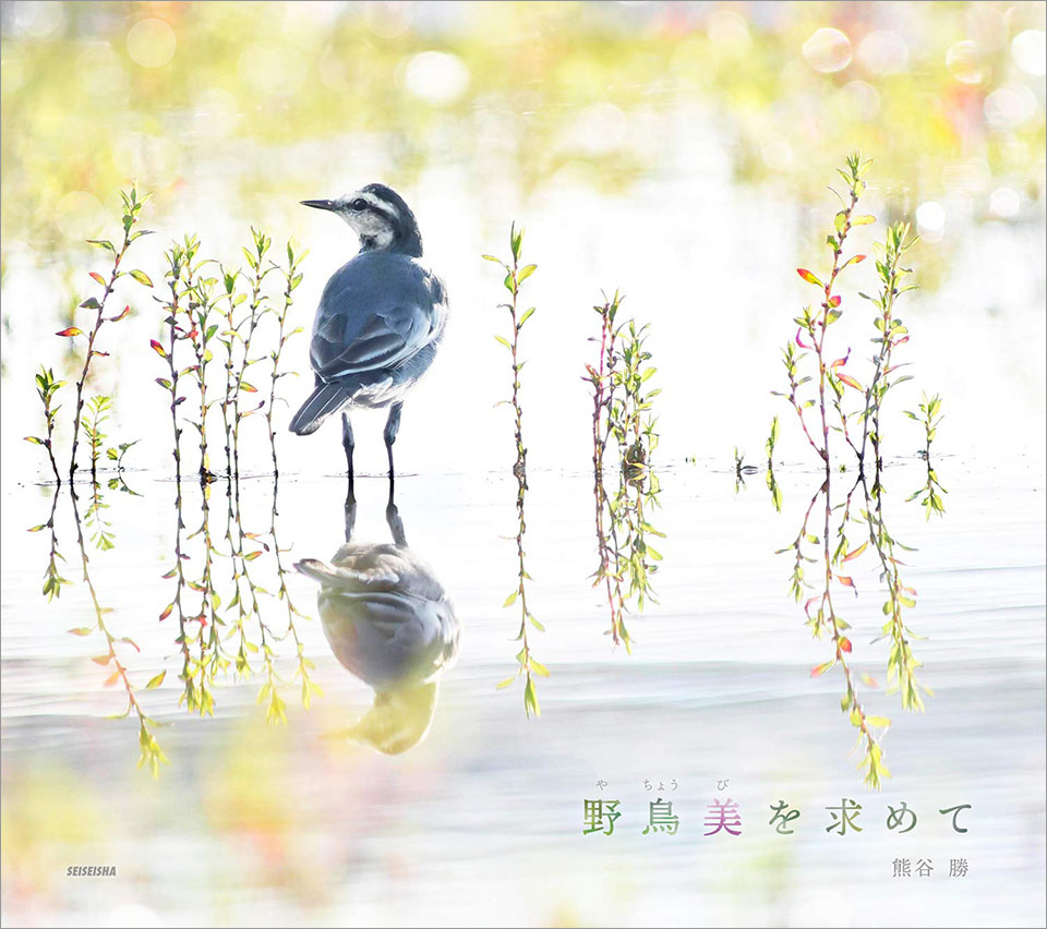 熊谷勝写真集『野鳥美を求めて』