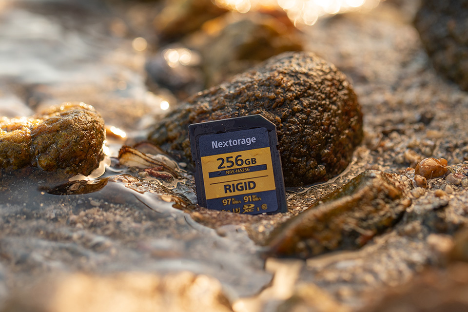 Nextorage NRS-Hシリーズ RIGID仕様 SDメモリーカード