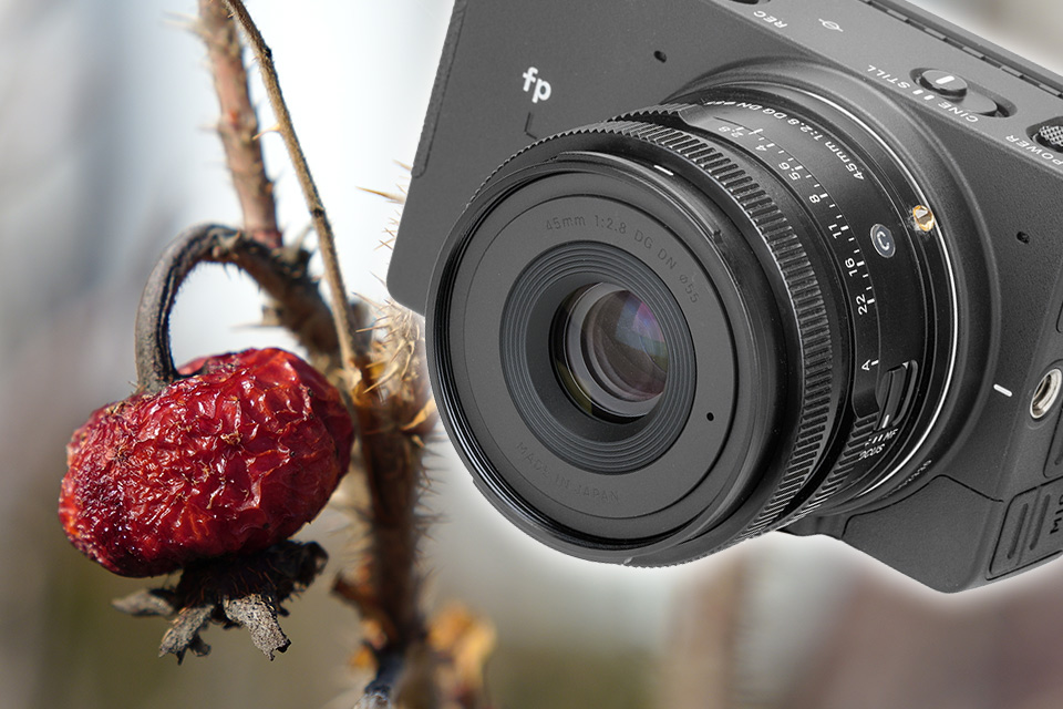 圧倒的に小さなフルサイズミラーレスが圧倒的な高精細画質を手に入れた