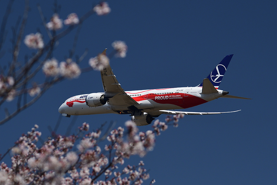 飛行機写真で旅行気分が味わえる 成田ヒコーキ写真クラブ写真展