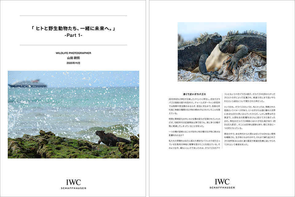 IWC「人と野生動物が共存できる持続可能な未来へ」