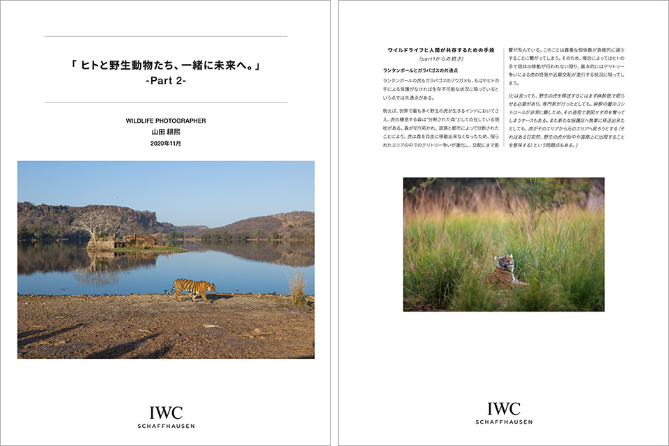 IWC「人と野生動物が共存できる持続可能な未来へ」