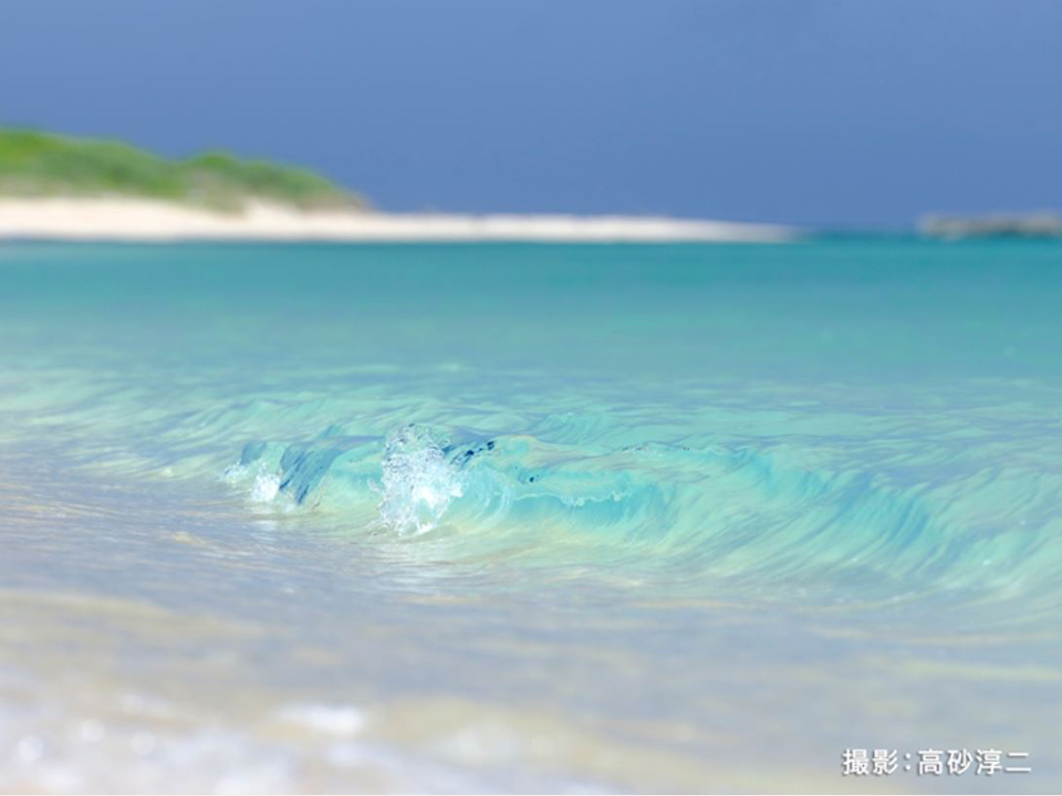 高砂淳二写真展「八重山を彩る命」～ラージフォーマットで切り取った、南の島の海と森～