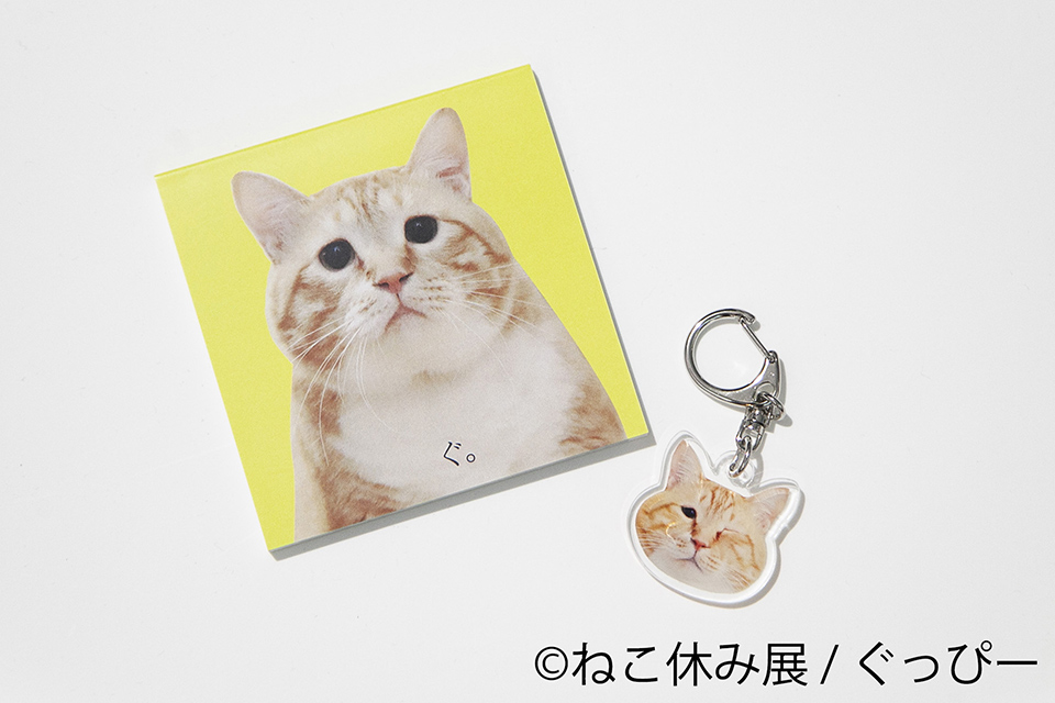 ねこ休み展 秋 2021