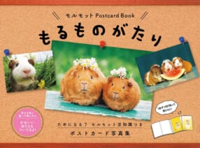 モルモット Postcard Book『もるものがたり』