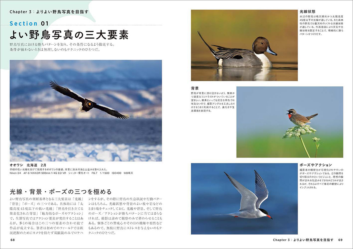 中野耕志『野鳥写真の教科書』