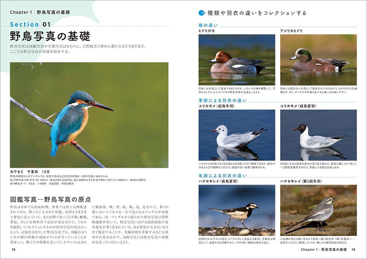 中野耕志『野鳥写真の教科書』