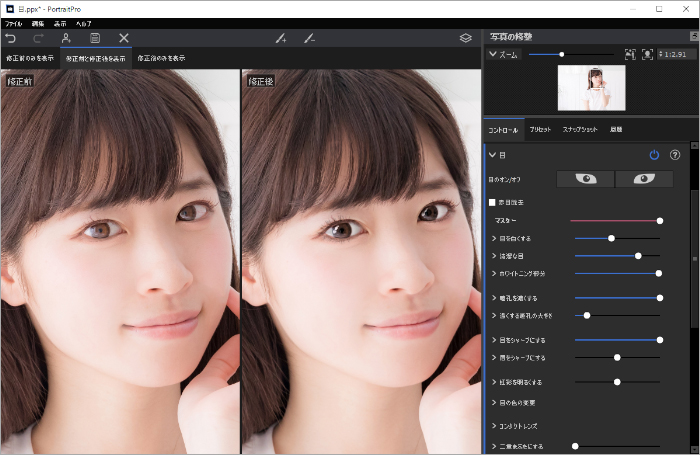 Portrait Pro 21