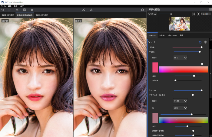 Portrait Pro 21