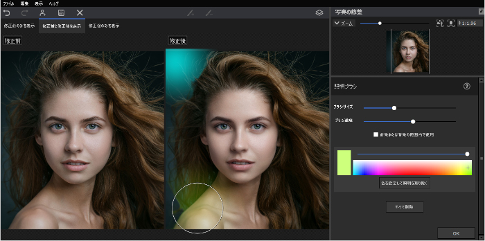 Portrait Pro 21