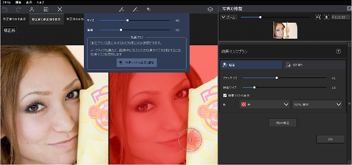 Portrait Pro 21