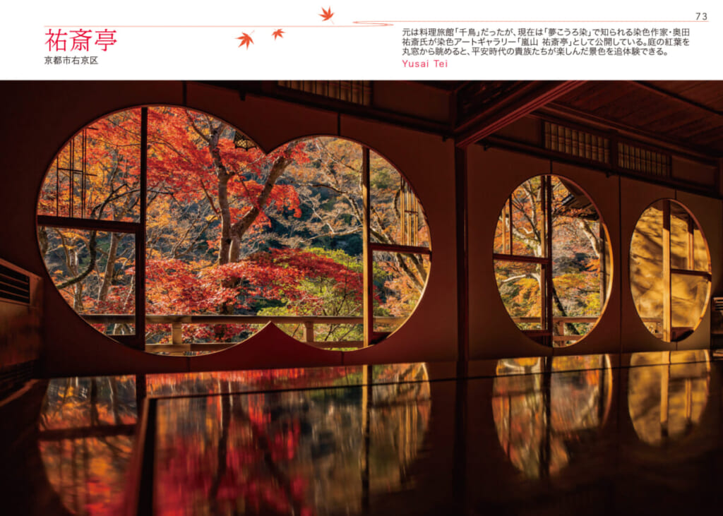 SNSで注目を集める『極彩色の京都』とは。四季折々の絶景がポケット