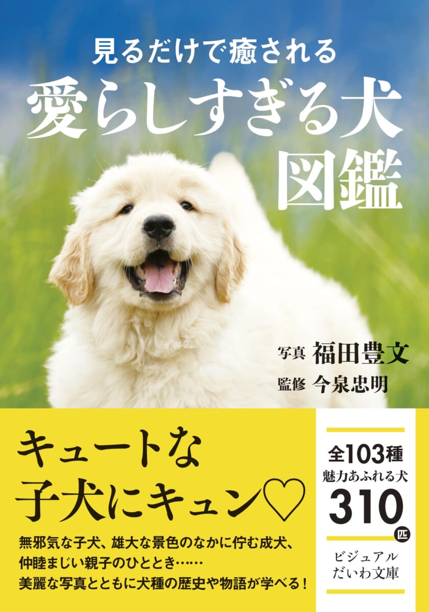キュートな子犬にキュンキュンがとまらない！103種310匹の可愛
