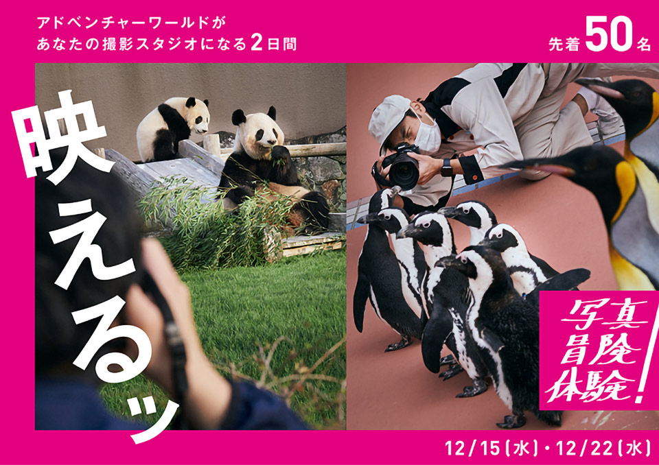 アドベンチャーワールド「休園日のパークが、あなたの撮影スタジオになる2日間！」