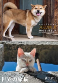 新美敬子2022カレンダー「柴犬」「世界の旅猫」
