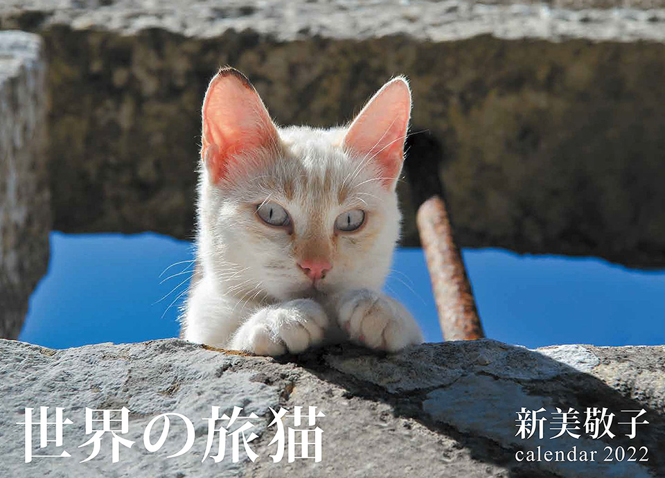 新美敬子2022カレンダー「世界の旅猫」