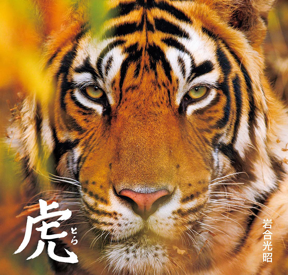 220123iwago00.jpg