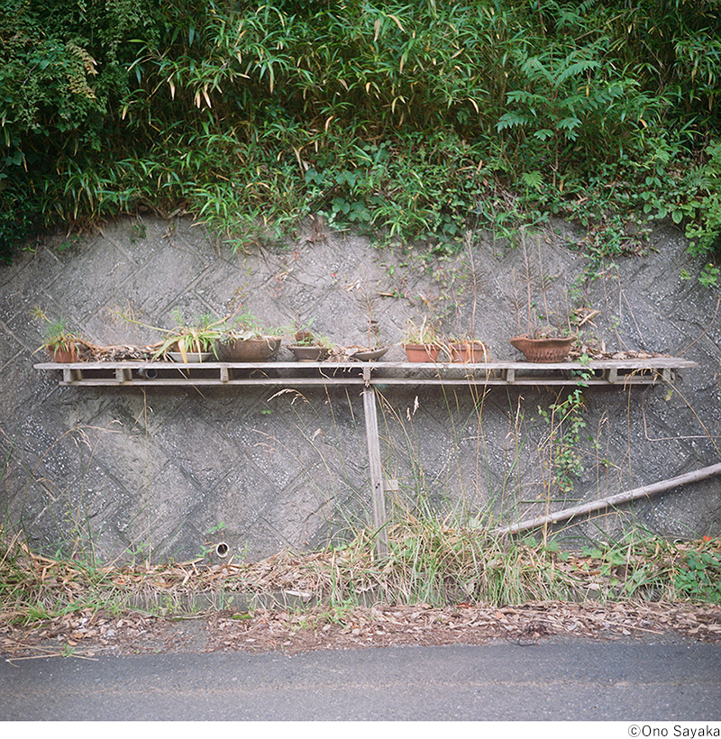 疋田千里・小野さやか写真展「箸と鉢」