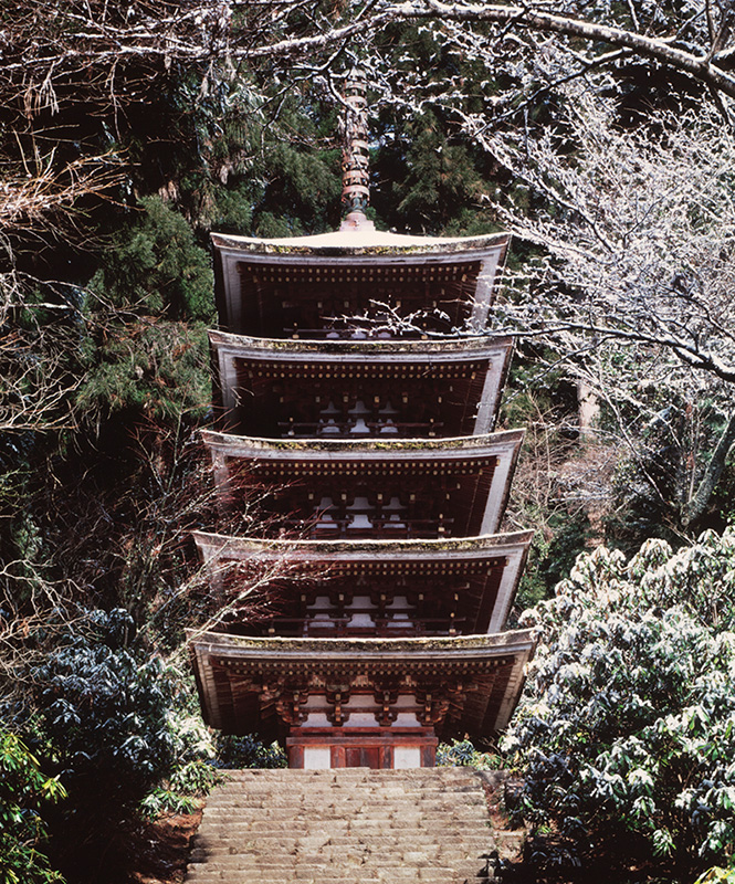 写真展「古寺巡礼 −土門拳が切り取った時間−」