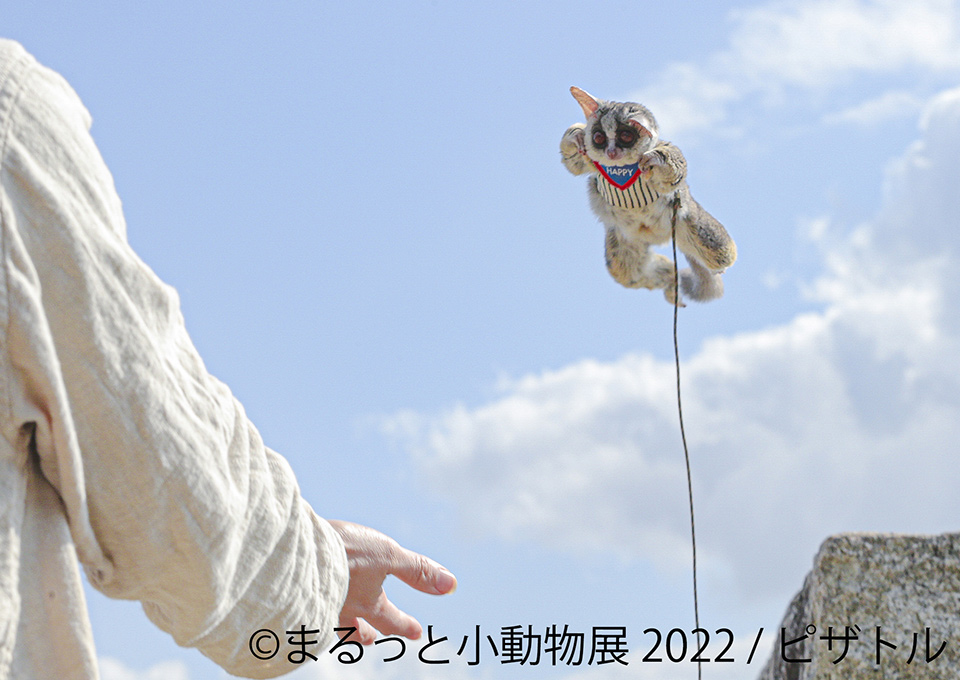 まるっと小動物展 2022