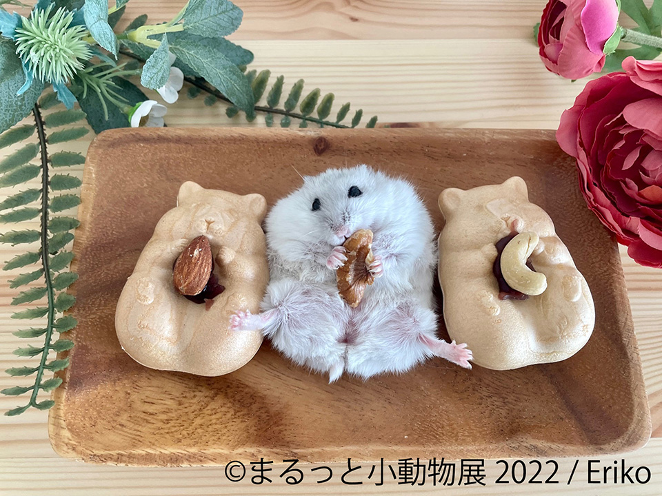 まるっと小動物展 2022