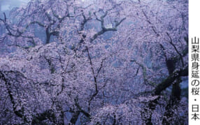 まえのかつみの 日本全国、海外各地の美風景 写真展