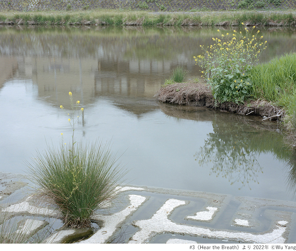 王露・呉揚・林煜涵 写真展「Between In and Out」