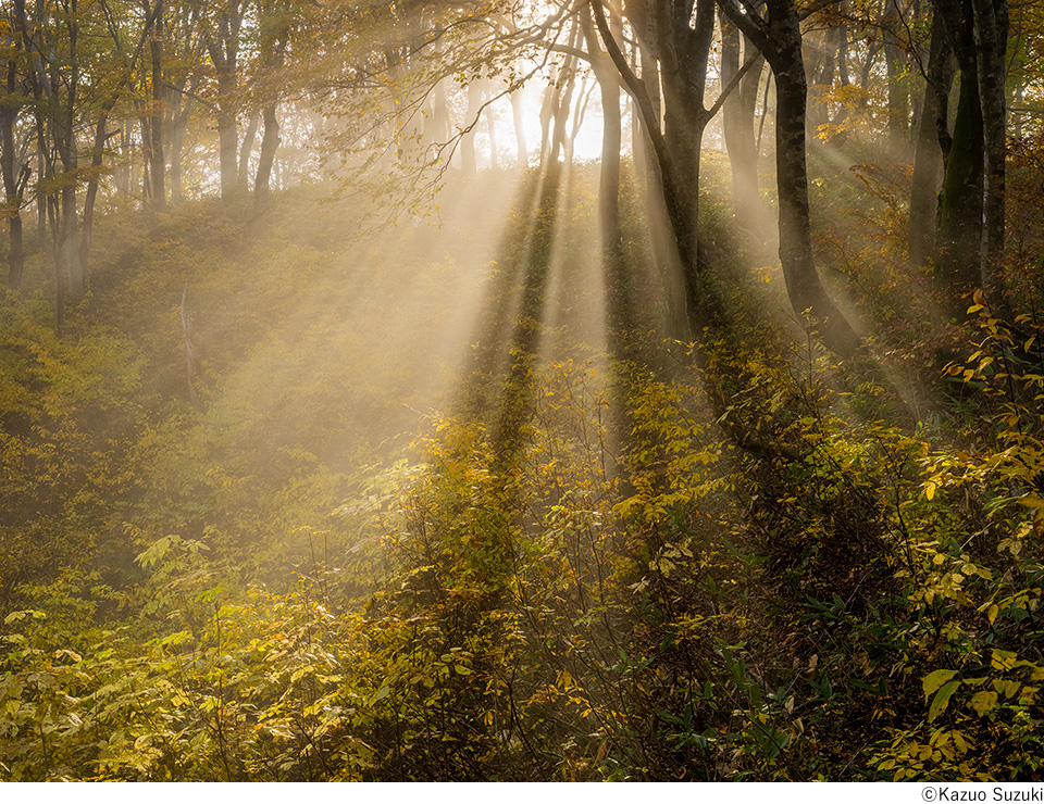 鈴木一雄写真展「聲をきく」～Listening to the Spirits in the Wild～