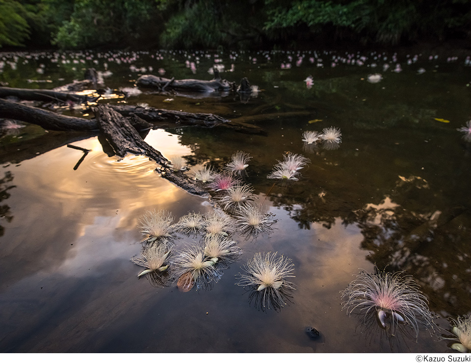 鈴木一雄写真展「聲をきく」～Listening to the Spirits in the Wild～