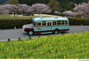 和田浩写真展「大和路を行く 奈良交通ボンネットバス」大阪展