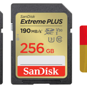サンディスクの主力モデルがスピードアップ！ 新型のSD/microSDメモリーカードシリーズ