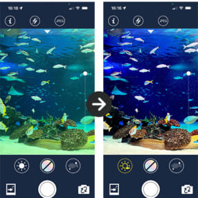 水族館や水中の写真をクリアで鮮やかに！ iPhone用カメラアプリ「SILKYPIX AQUA」