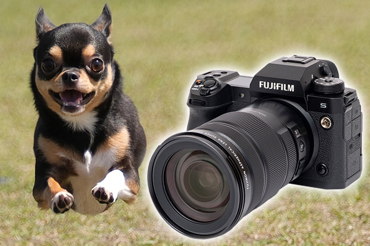 FUJIFILM X-H2S 実写レビュー！ ブラックアウトフリー連写や被写体検出