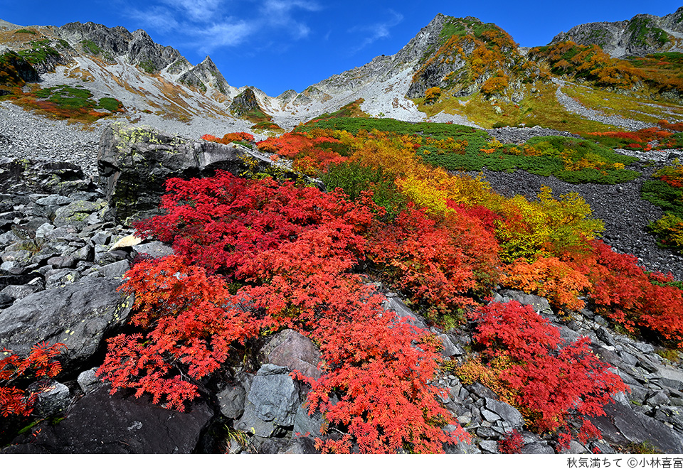 プロとアマチュアが撮影した迫力の山岳写真が一堂に。日本山岳写真協会