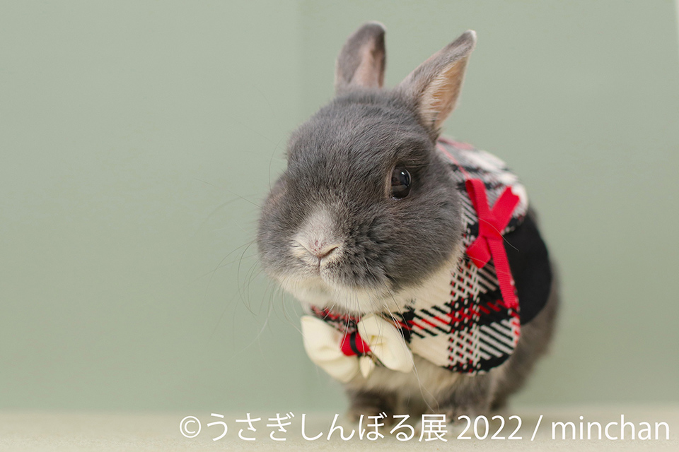 うさぎしんぼる展 2022