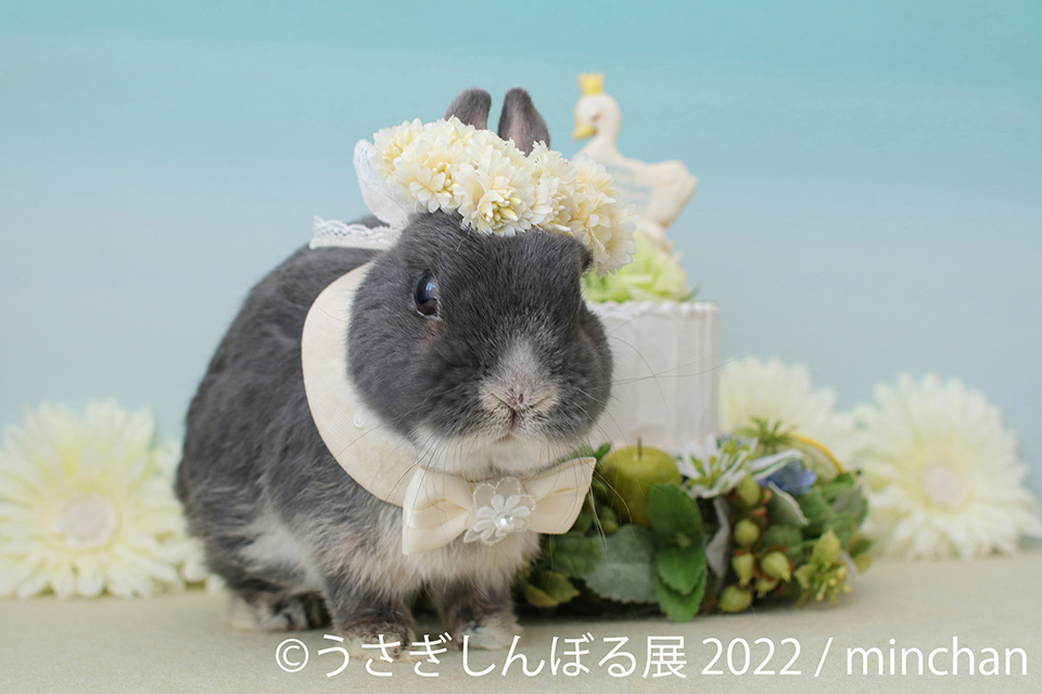 うさぎしんぼる展 2022