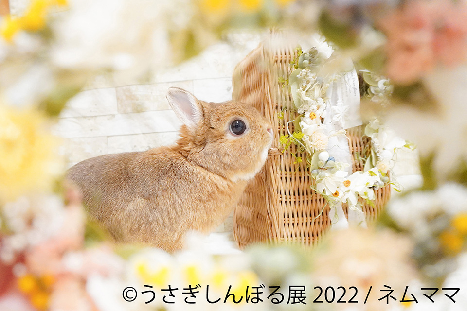 うさぎしんぼる展 2022