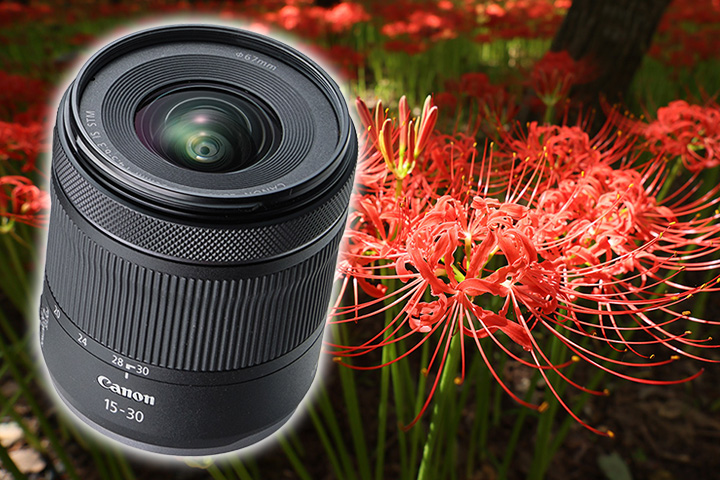 お手ごろ価格のキヤノン広角ズームレンズを実写チェック！ RF15-30mm