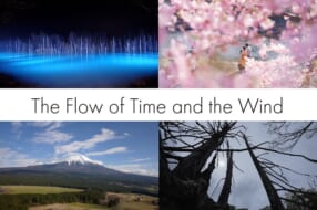 映像作品展「The Flow of Time and the Wind」