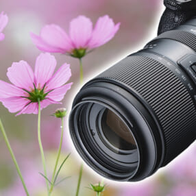 ハーフマクロもいける50mmからの超望遠ズームを実写チェック！ タムロン 50-400mm F/4.5-6.3 Di III VC VXD