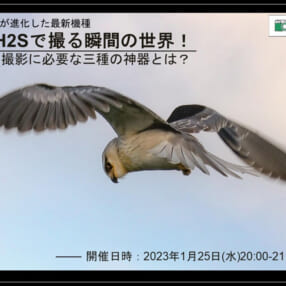 野鳥撮影「三種の神器」とは？ ハイスピードミラーレス「FUJIFILM X-H2S」無料オンラインセミナー開催