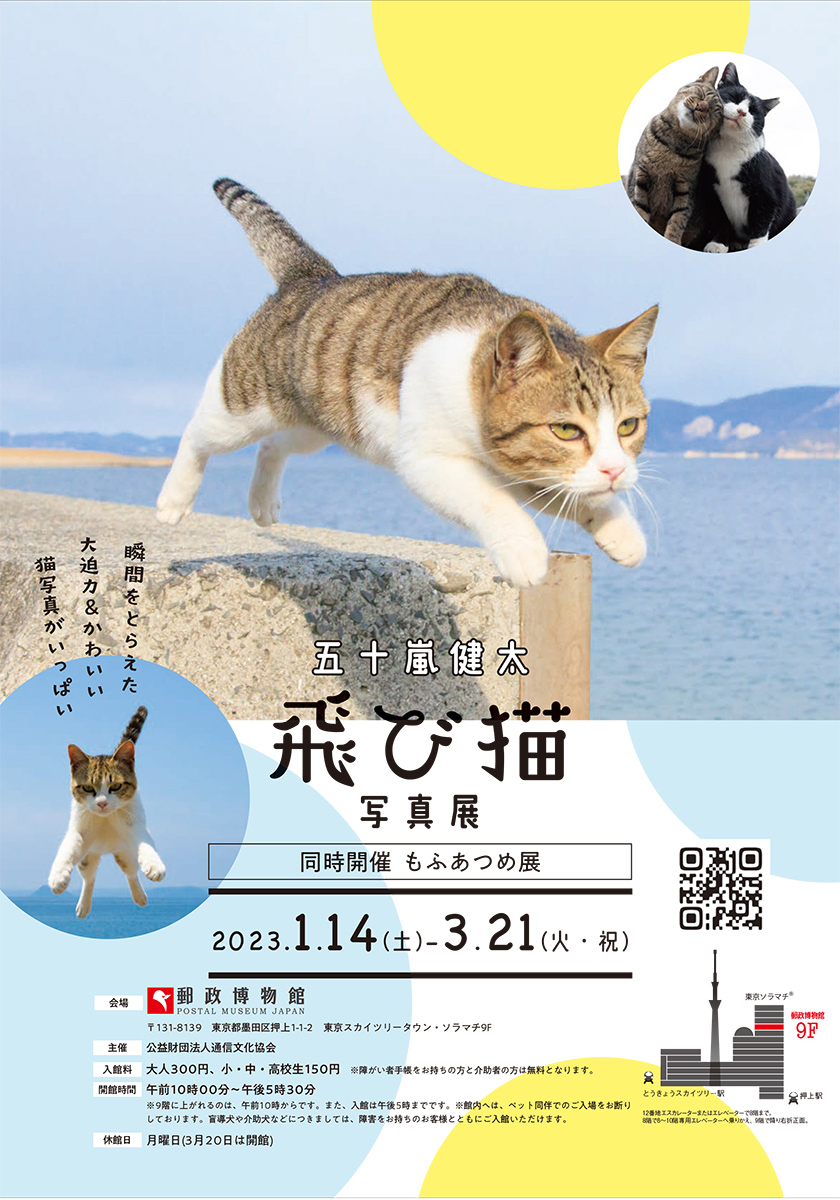 五十嵐健太 飛び猫写真展 in 郵政博物館