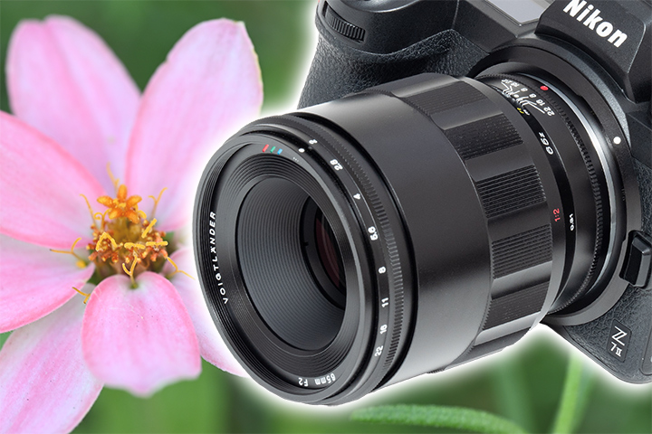 ニコンZマウントのハーフマクロレンズで実写！ MACRO APO-LANTHAR 65mm