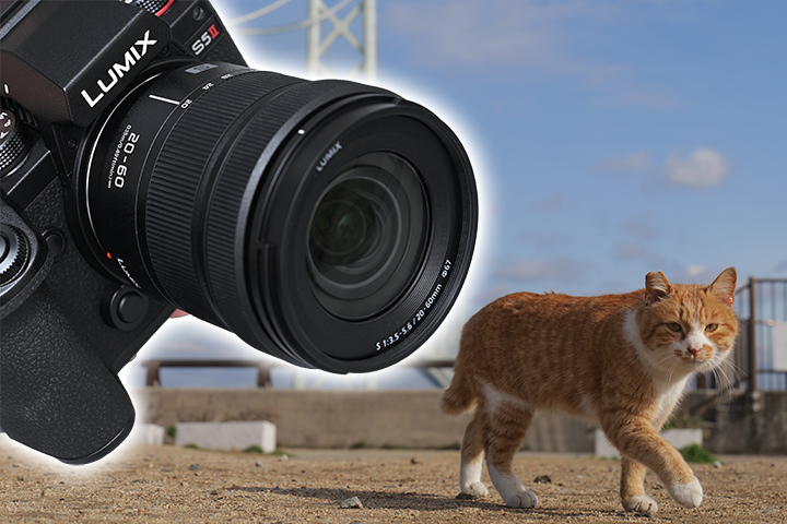 230220lumix00new.jpg