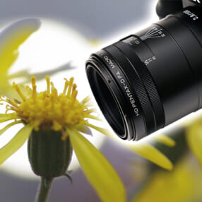 HD PENTAX-D FA MACRO 100mmF2.8ED AW 実写レビュー！ 人気100mmマクロの画質とタフ性能が進化