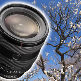 超広角から中望遠までカバーする標準ズームの描写力チェック！ ソニー FE 20-70mm F4 G