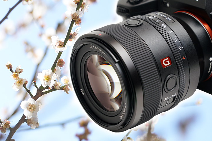 ソニー FE 50mm F1.4 GM 実写レビュー！ 小型軽量化した標準